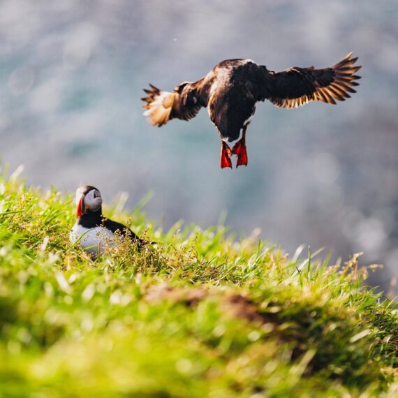 GartenglückLüdinghausen - Reisetipps - Roadtrip Island 13