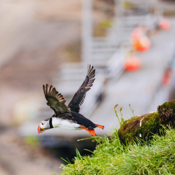 GartenglückLüdinghausen - Reisetipps - Roadtrip Island 14