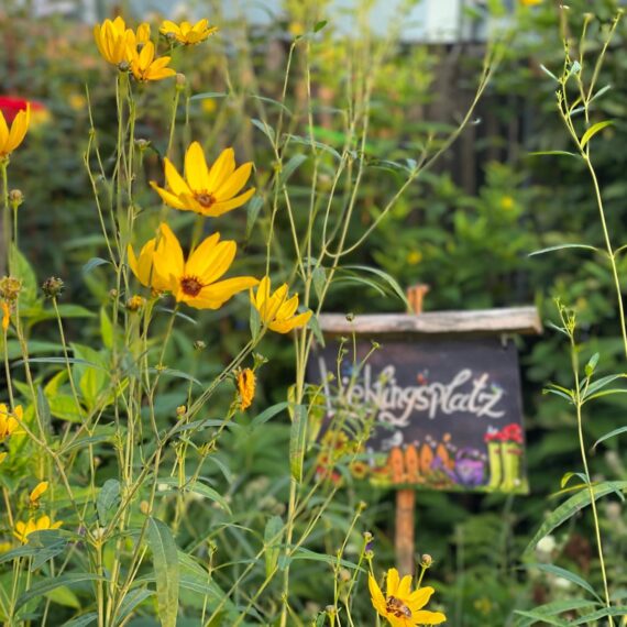 Gartenglück Lüdinghausen_Gartenprojekte_Chef´s Garten 01 (12)