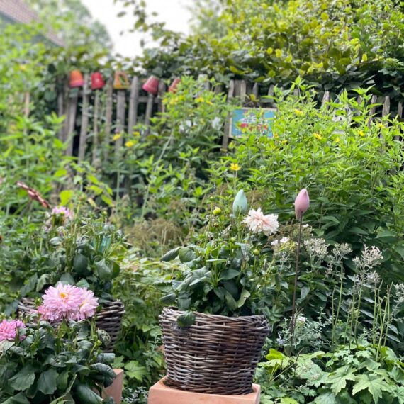 Gartenglück Lüdinghausen_Gartenprojekte_Chef´s Garten 01 (13)