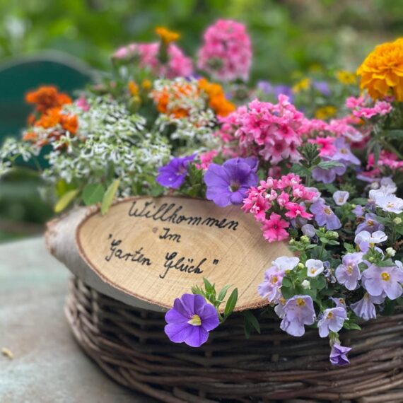 Gartenglück Lüdinghausen_Gartenprojekte_Chef´s Garten 01 (16)