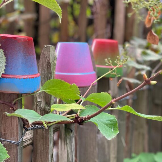 Gartenglück Lüdinghausen_Gartenprojekte_Chef´s Garten 01 (29)