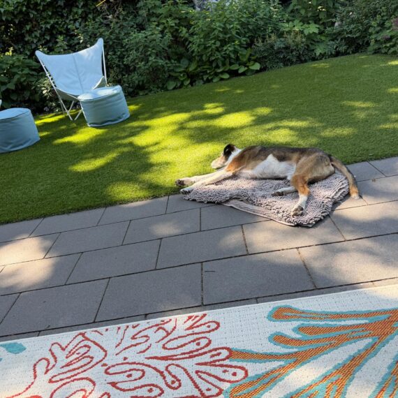 Gartenglück Lüdinghausen_Gartenprojekte_Chef´s Garten 01 (4)