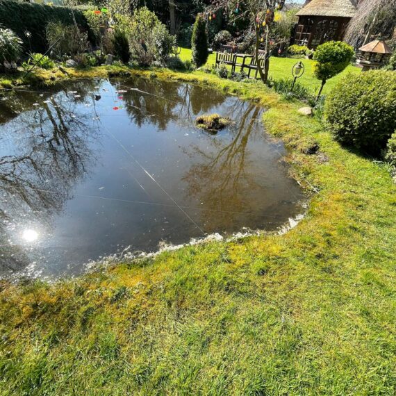 Gartenglück Lüdinghausen_Gartenprojekte_Hausgarten 01
