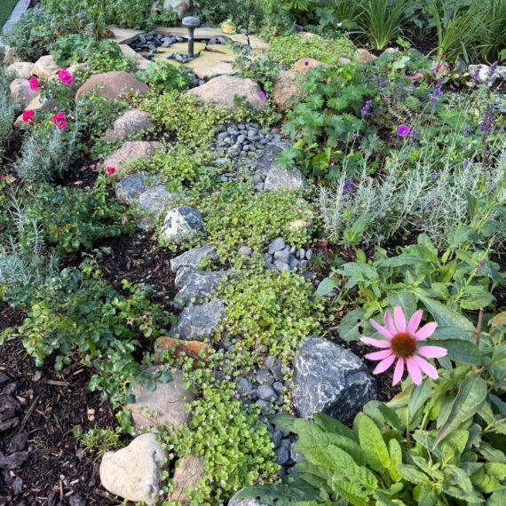 Gartenglück Lüdinghausen_Gartenprojekte_Hausgarten 03