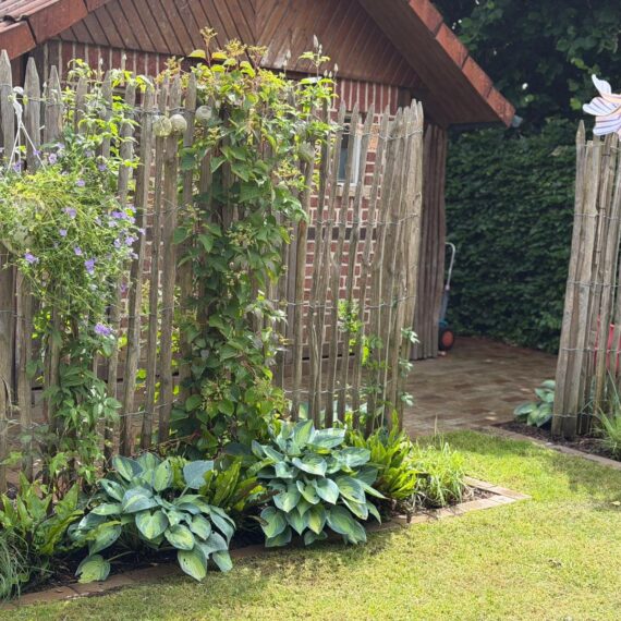 Gartenglück Lüdinghausen_Gartenprojekte_Hausgarten LH 01
