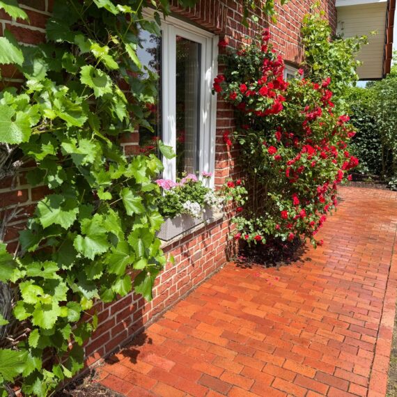 Gartenglück Lüdinghausen_Gartenprojekte_Hausgarten LH 04