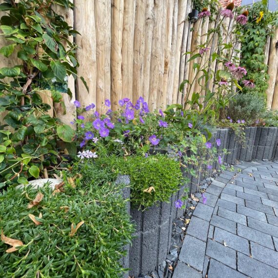 Gartenglück Lüdinghausen_Gartenprojekte_Hausgarten Senden 02