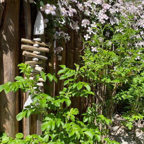 Gartenglück Lüdinghausen_Gartenprojekte_Hausgarten Senden 03
