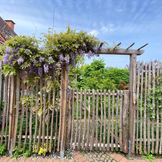 Gartenglück Lüdinghausen_Gartenprojekte_Toranlage Kastanie 02