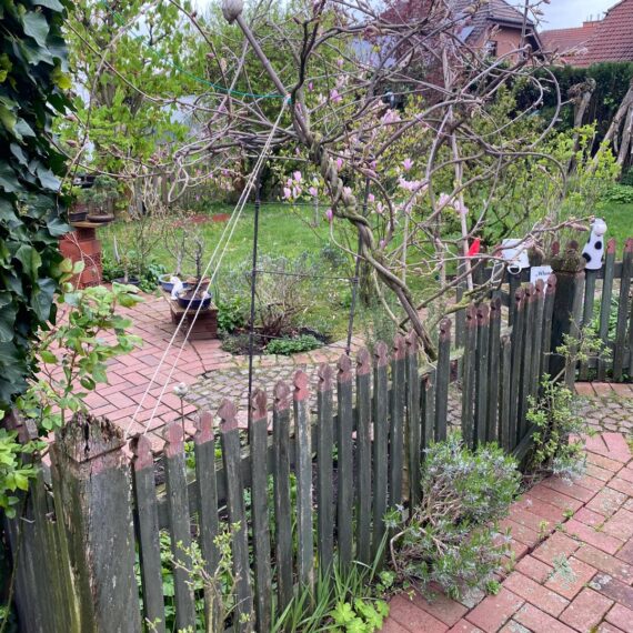 Gartenglück Lüdinghausen_Gartenprojekte_Toranlage Kastanie 05