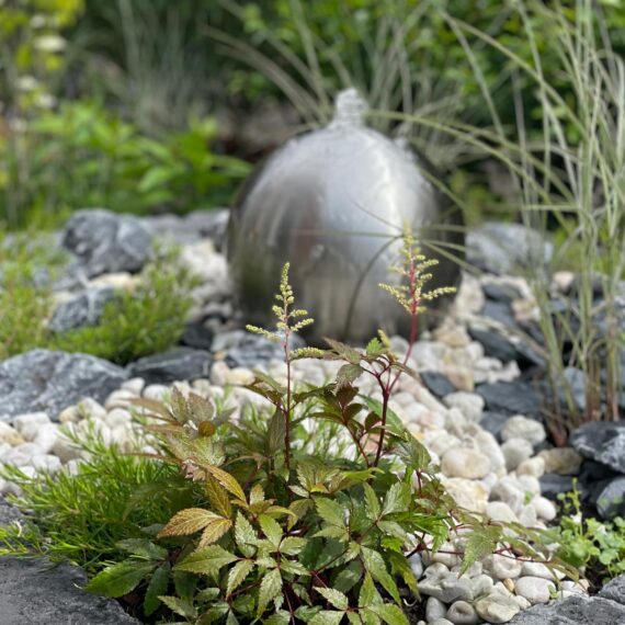 Gartenglück Lüdinghausen_Gartenprojekte_vorher nachher_Hausgarten 02