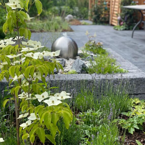 Gartenglück Lüdinghausen_Gartenprojekte_vorher nachher_Hausgarten 03
