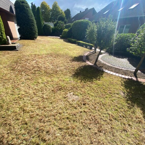 Gartenglück Lüdinghausen_Gartenprojekte_vorher nachher_Klar Schiff Olfen 04