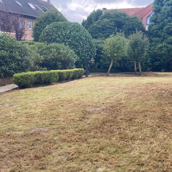 Gartenglück Lüdinghausen_Gartenprojekte_vorher nachher_Klar Schiff Olfen 05